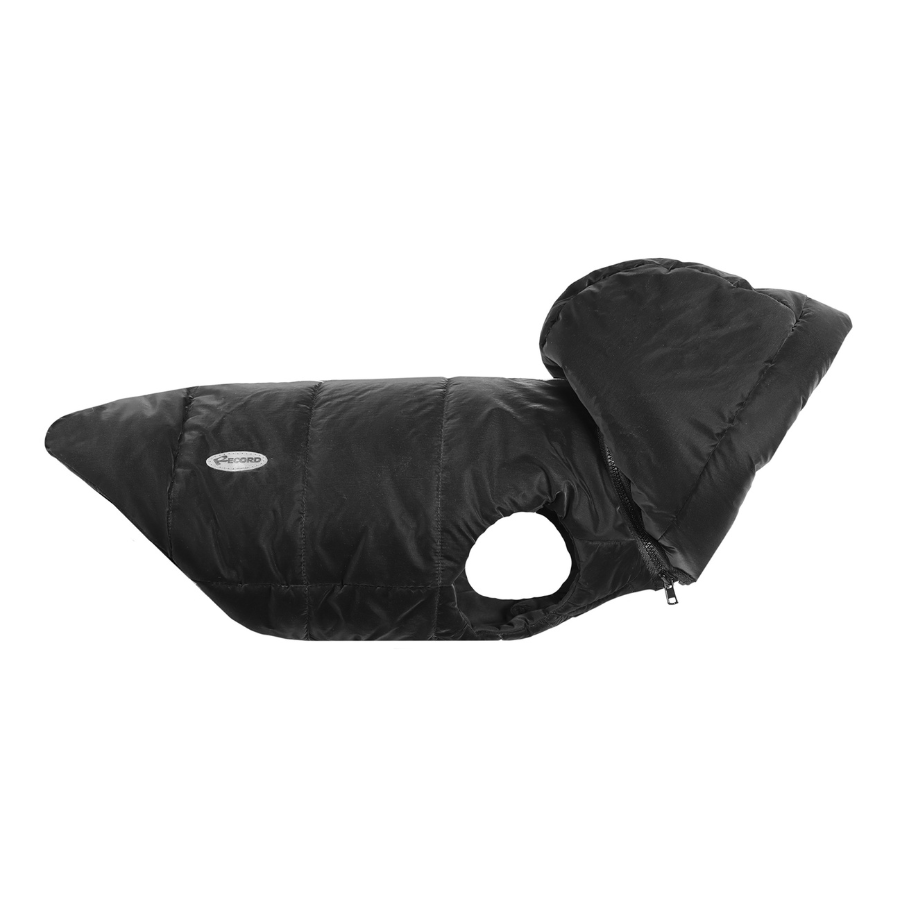 Record - Cappottino Dogmar