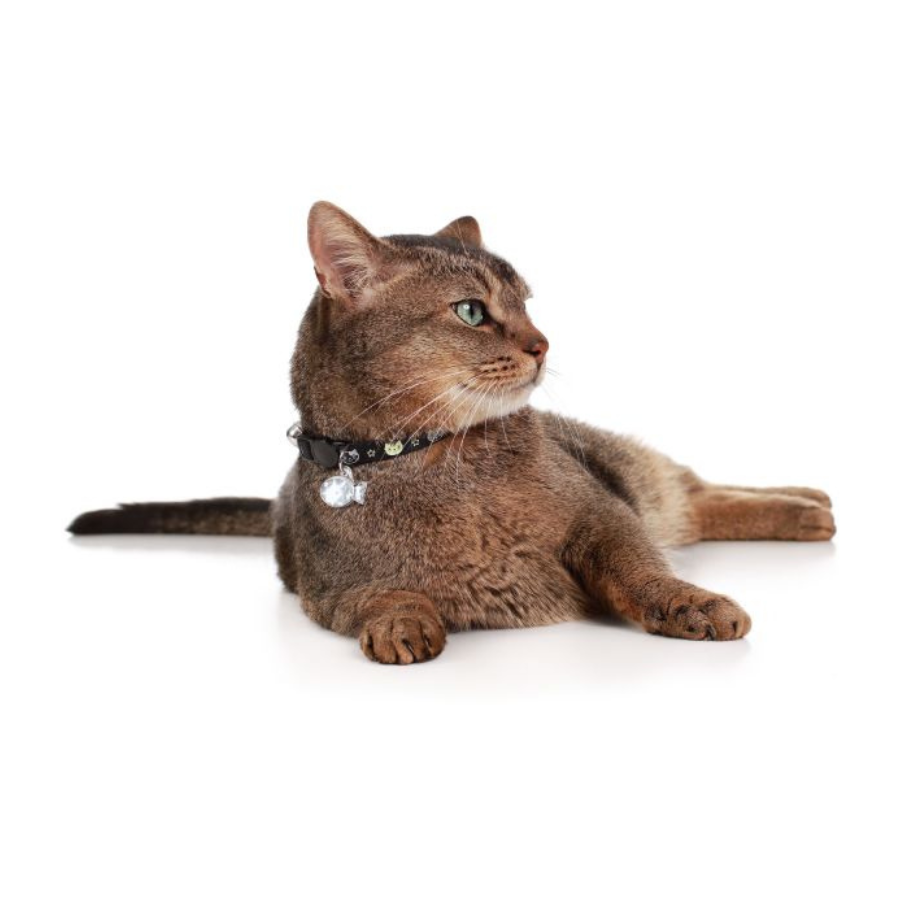 Hunter - Collare gatto Krokom - Nylon, nero X3