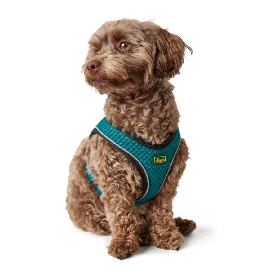 Hunter - Pettorina Hilo Comfort S-M mesh, turchese with refl. bise