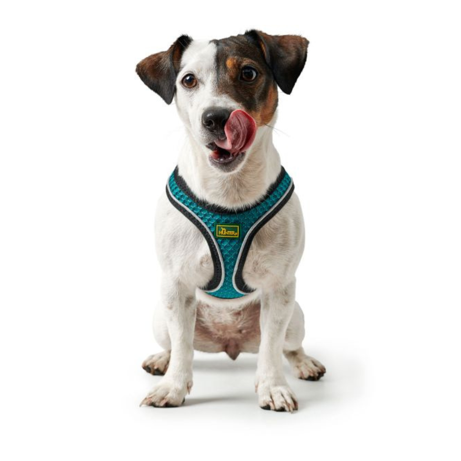 Hunter - Pettorina Hilo Comfort S-M mesh, turchese with refl. bise