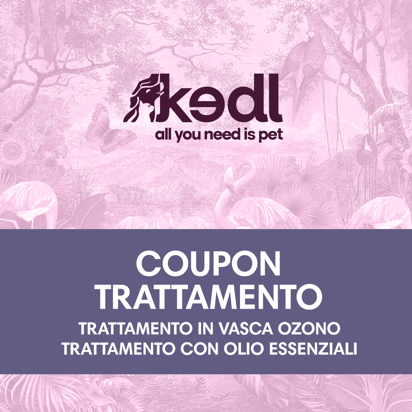 COUPON Trattamento in omaggio