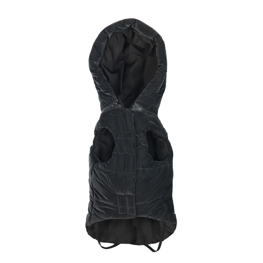 Record - Cappottino Dogmar