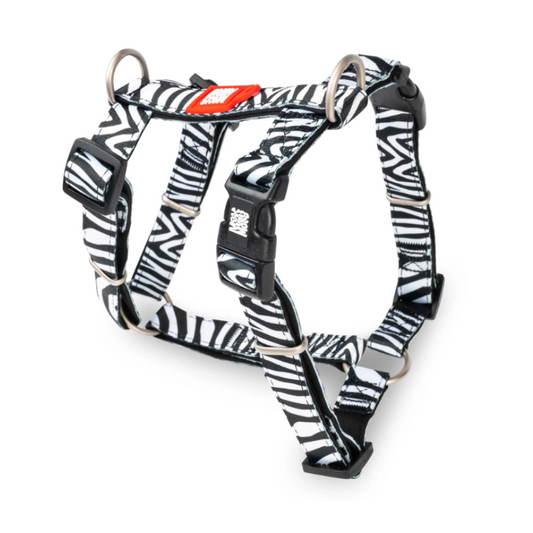 Max&Molly – Pettorina H - Zebra