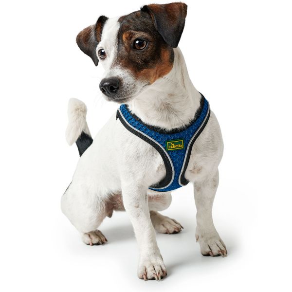Hunter - Pettorina Hilo Comfort S-M mesh, blu